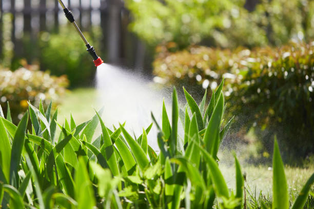 24/7 Emergency Fumigation Services experts in Amberley, OH