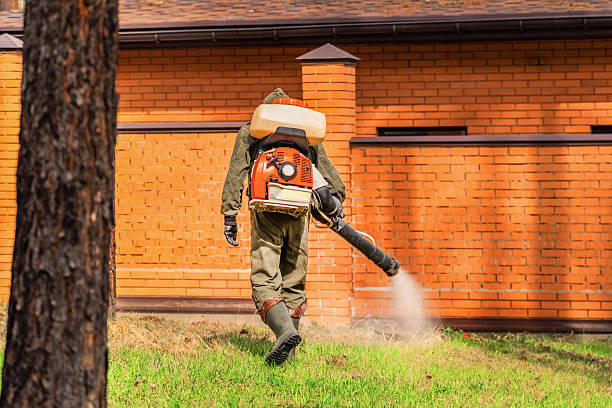 Trusted Termite Control service in Amberley, OH - Nex Pest Control